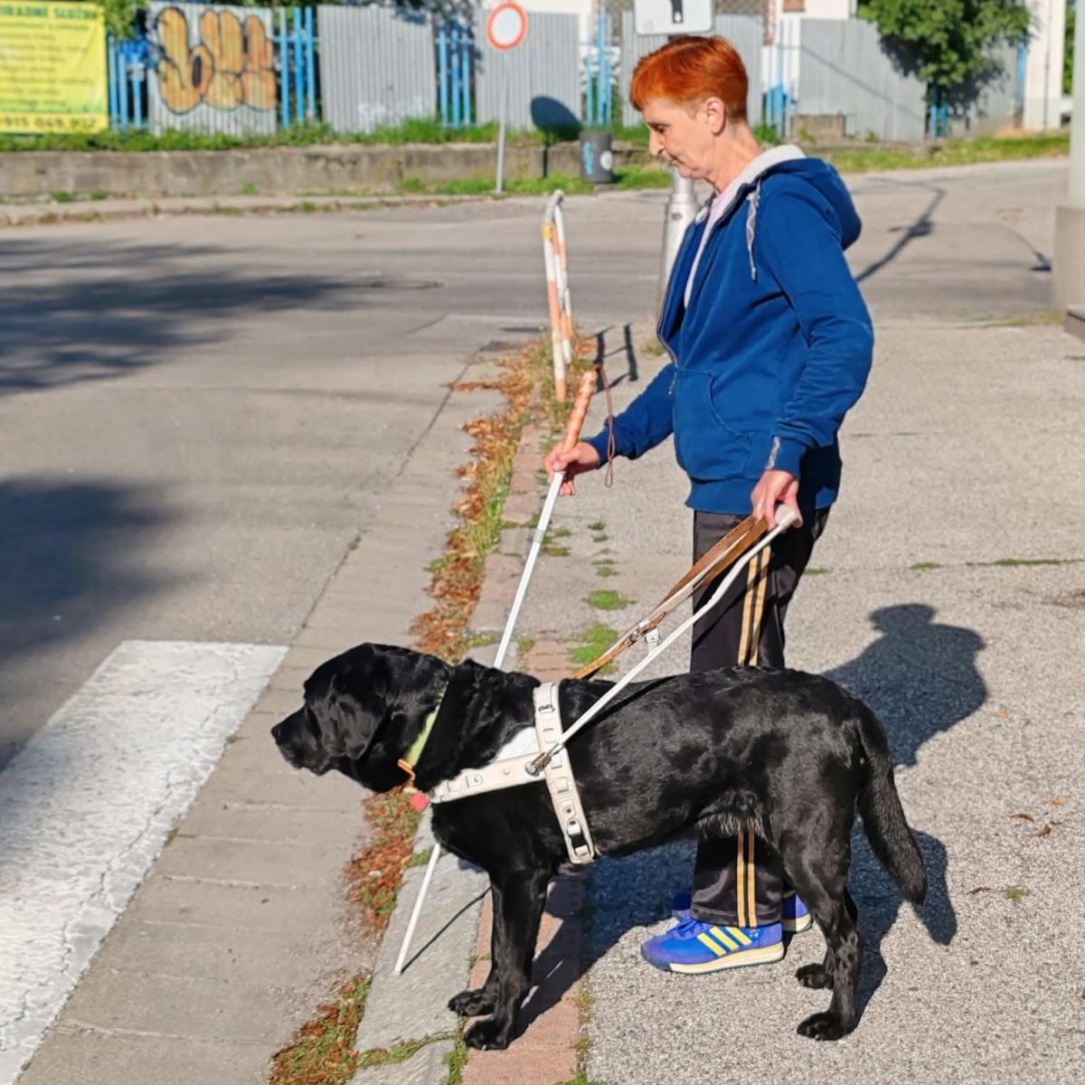 Trénerka a vodiaci stoja na okraji chodníka a pripravujú sa prejsť cez vozovku po prechode pre chodcov